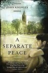 A Separate Peace Worksheets and Literature Unit