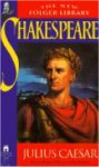 Julius Caesar Worksheets and Literature Unit