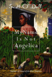 My Name Is Not Angelica Worksheets and Literature Unit
