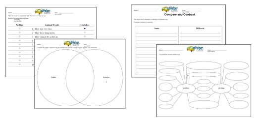 Graphic Organizers  PLANERIUM Printables