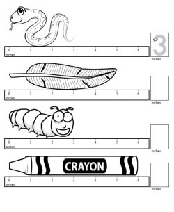 Kindergarten Measurement - Worksheets, Lessons, and Printables