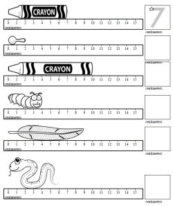 Metric System Challenge Worksheet - Promotiontablecovers