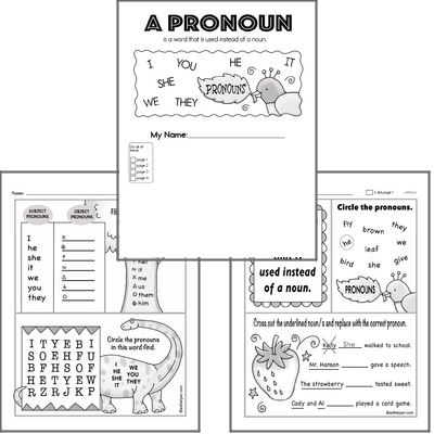 Introduction to Pronouns Workbook