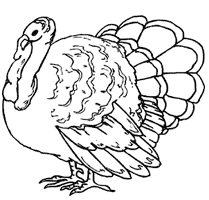 The Truth About Turkeys