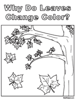 Fall Leaves - Worksheets, Lessons, and Printables