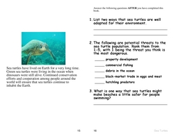 Read and Write Book: Sea Turtles