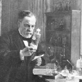 Louis Pasteur<BR>Louis Pasteur - Scientist or Plagiarist, Part 2