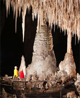 <b>Carlsbad Caverns</b>