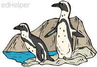 <b>African Penguins</b>