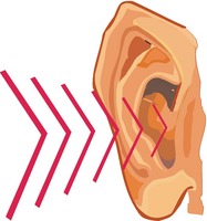 Your Sense of Hearing - Reading Comprehension Worksheet | edHelper