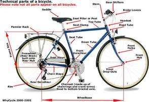 How a Bicycle Works - Reading Comprehension Worksheet | edHelper