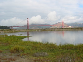 A Bridge Across the Bay