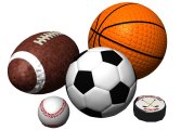 <b>Sports Balls</b>