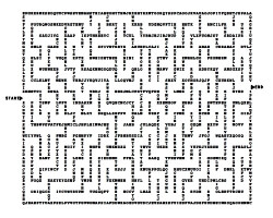 Word Search Maze