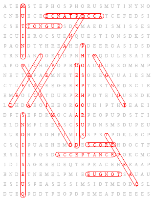 create your own word search pdf