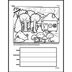 Second Grade Data Worksheets - Graphing Worksheet #3