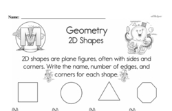 Second Grade Geometry Worksheets - 2D Shapes Worksheet #19