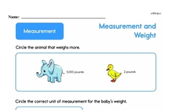 Second Grade Measurement Worksheets - Measurement and Weight Worksheet #9