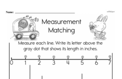 Second Grade Measurement Worksheets Worksheet #4