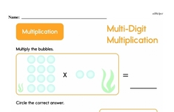 Multiplication - Multi-Digit Multiplication Mixed Math PDF Workbook for Second Graders