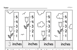 Kindergarten Measurement Worksheets - Measurement and Comparisons Worksheet #9