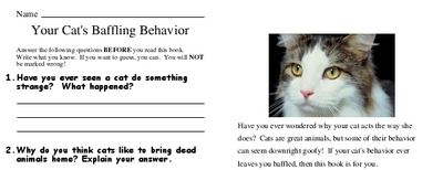 Your Cat's Baffling Behavior