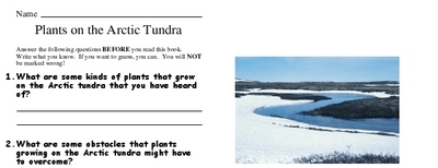 Plants on the Arctic Tundra