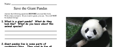 Save the Giant Pandas
