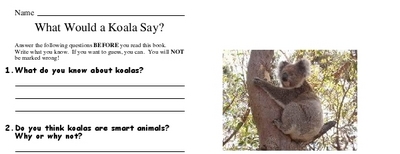 What Would a Koala Say?