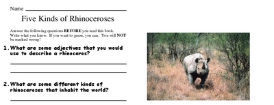 Five Kinds of Rhinoceroses