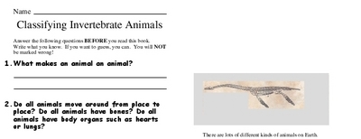 Classifying Invertebrate Animals