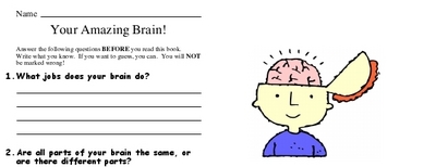 Your Amazing Brain!