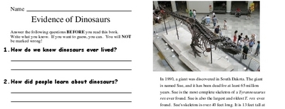 Evidence of Dinosaurs