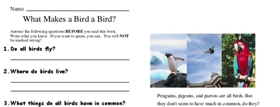 What Makes a Bird a Bird?