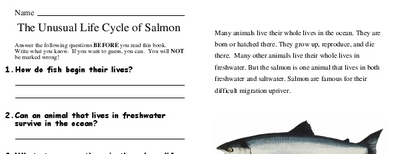The Unusual Life Cycle of Salmon