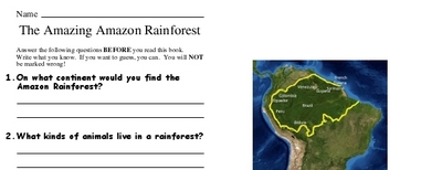 The Amazing Amazon Rainforest