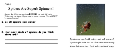 Spiders Are Superb Spinners!