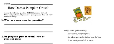 How Does a Pumpkin Grow?