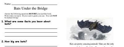Bats Under the Bridge