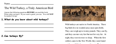 The Wild Turkey, a Truly American Bird