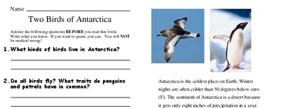 Two Birds of Antarctica