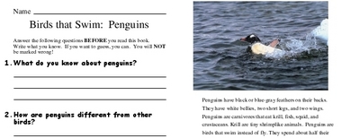 Birds that Swim:  Penguins