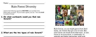 Rain Forest Diversity