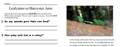 Leafcutter or Harvester Ants