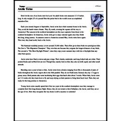 Print <i>Arctic Terns</i> reading comprehension.