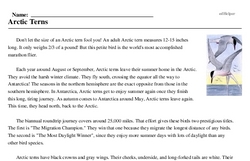 Print <i>Arctic Terns</i> reading comprehension.