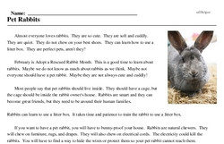 Print <i>Pet Rabbits</i> reading comprehension.