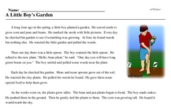 Print <i>A Little Boy's Garden</i> reading comprehension.