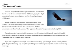 Print <i>The Andean Condor</i> reading comprehension.
