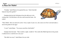 World Turtle Day<BR>A Place for Mabel